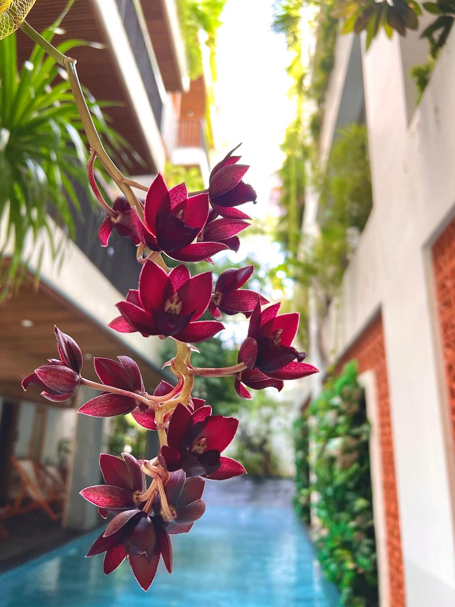 Ponte Boutique Da Nang Hotel Luaran gambar