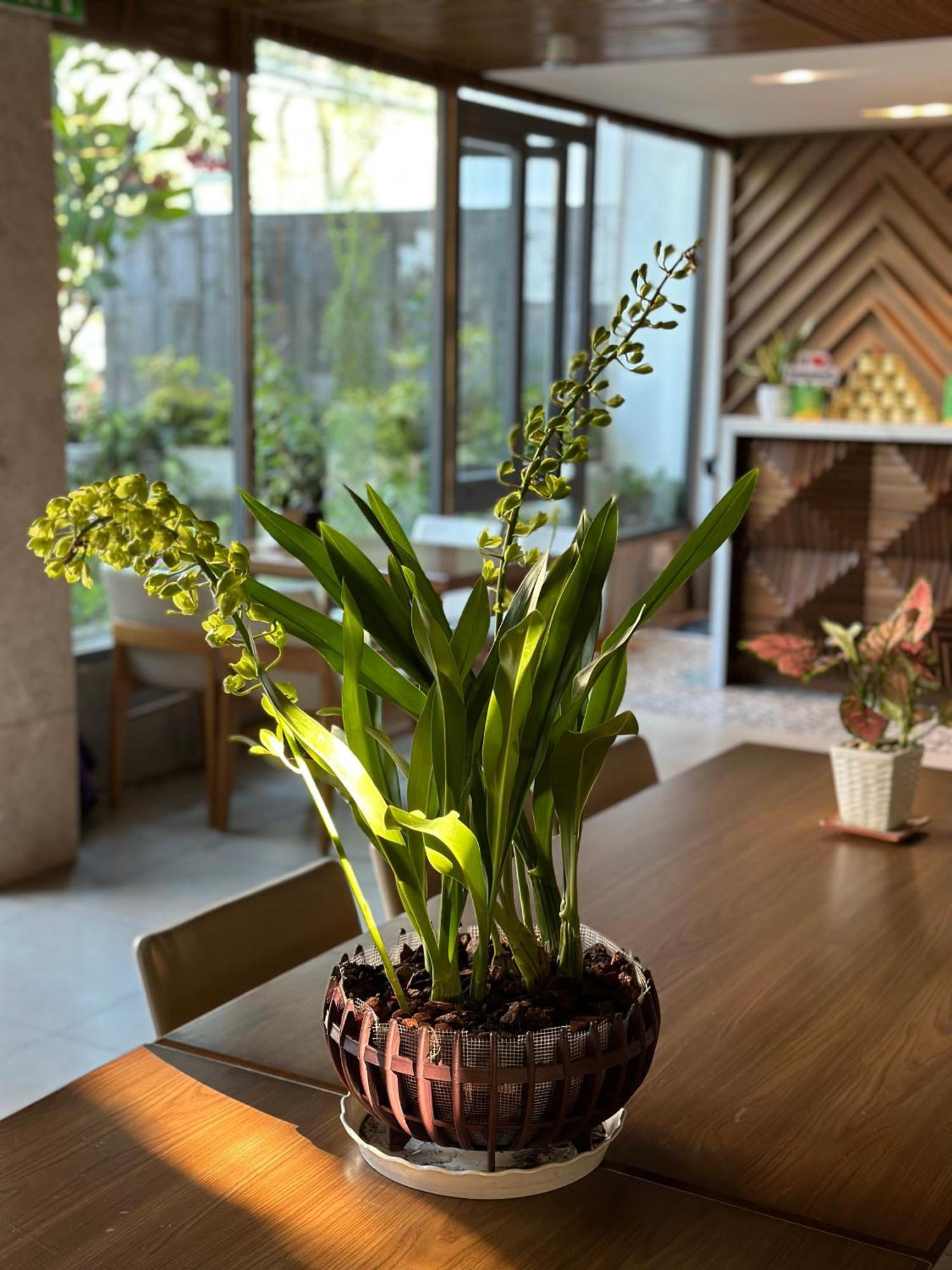 Ponte Boutique Da Nang Hotel Luaran gambar