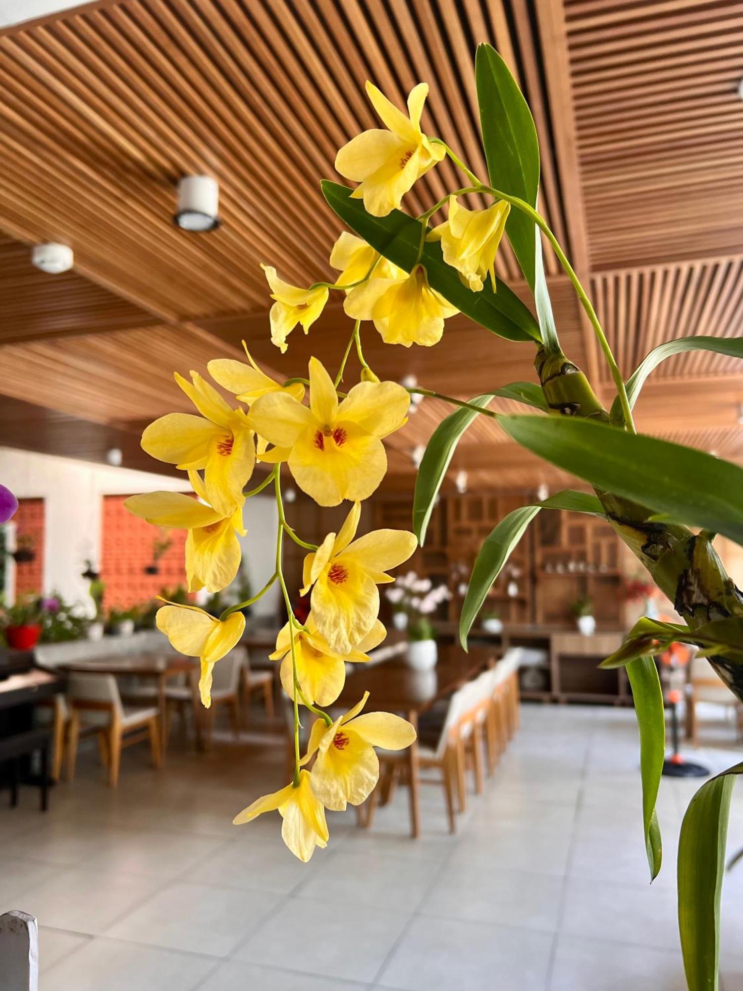 Ponte Boutique Da Nang Hotel Luaran gambar